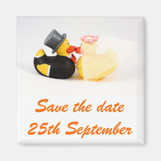 Patos caseiros... Íman