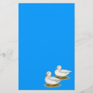 Patos: Chamadas brancas
