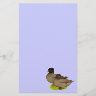 Patos: Chamadas de Khaki