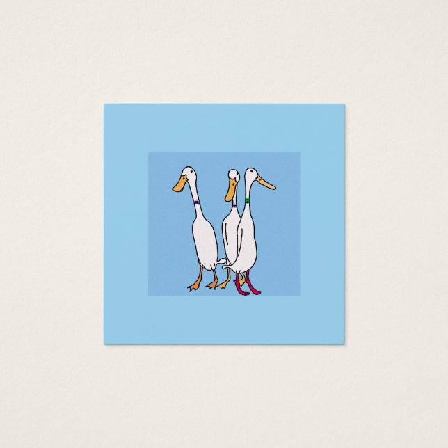 Patos-de-bico bonitos (Frente)