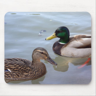 Patos em uma lagoa Mousepad