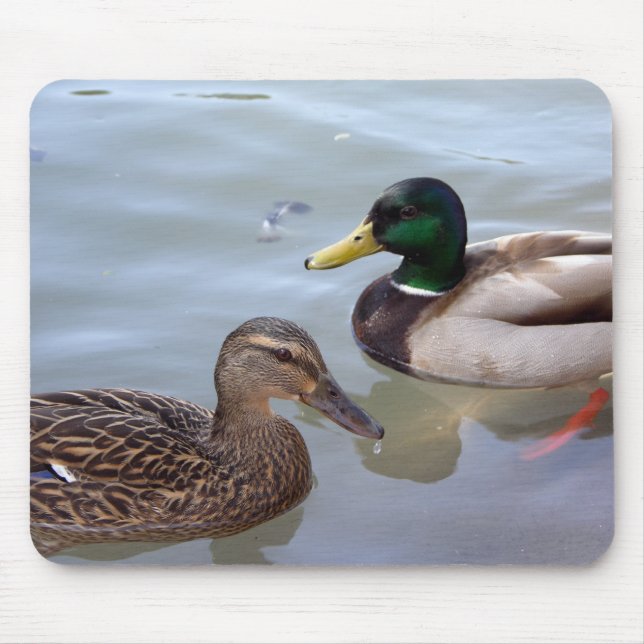 Patos em uma lagoa Mousepad (Frente)