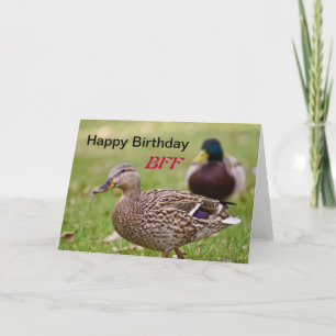 Patos Feliz Cartão de Aniversário BFF
