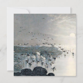 Patos, Mallards e Cisnes no lago ao pôr do sol