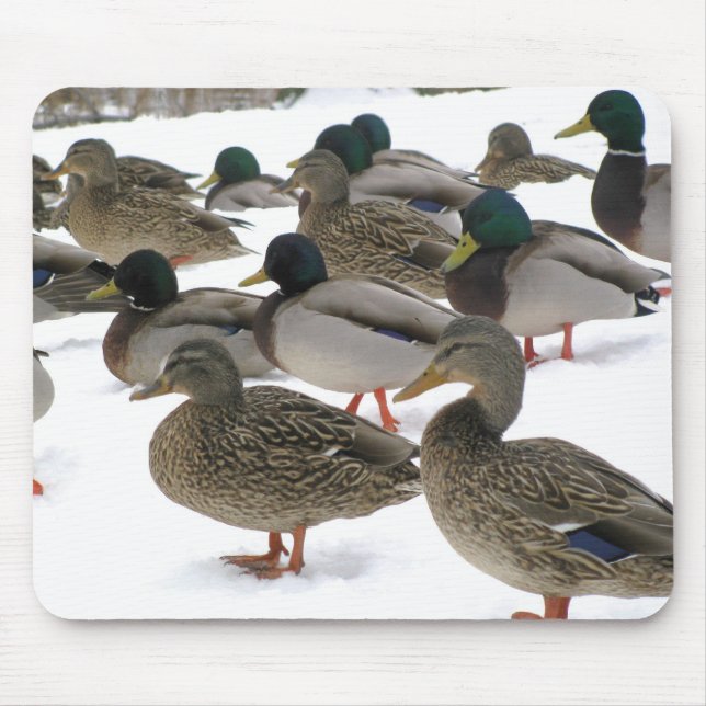Patos! Mousepad (Frente)