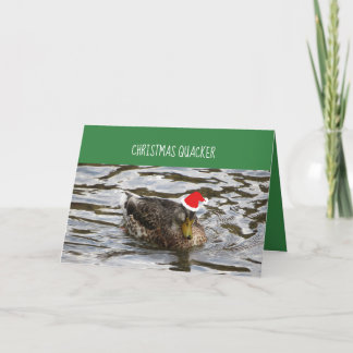 Patos Quacker De Natal Num Cartão De Fila
