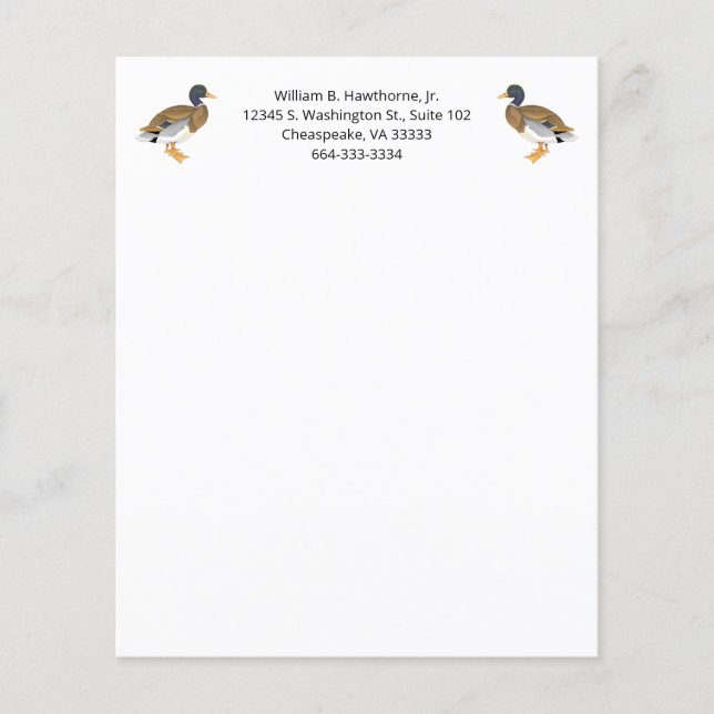 Patos-reais Aves Natureza Animais Aves Aquáticas (Frente)