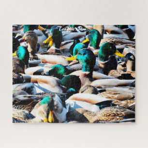 Patos Silvestres Engarrafamento Quebra-Cabeça