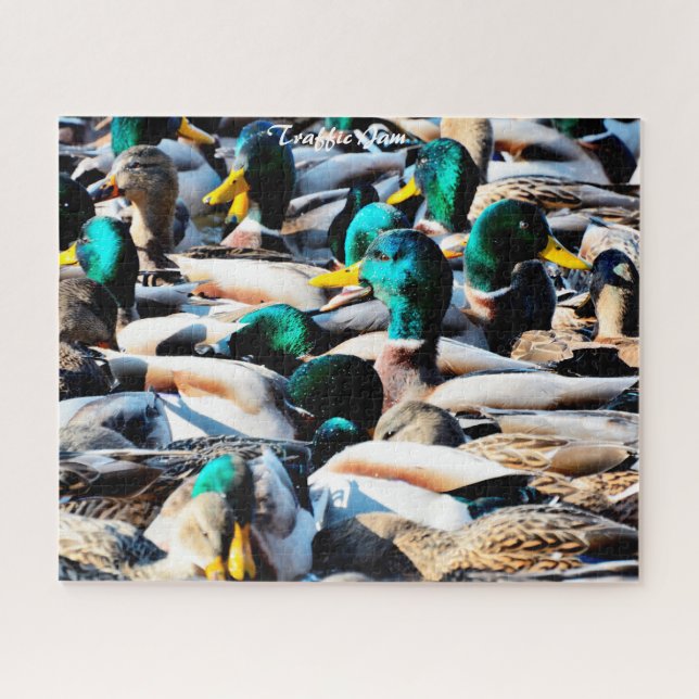 Patos Silvestres Engarrafamento Quebra-Cabeça (Horizontal)