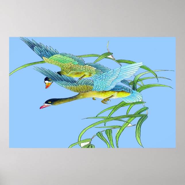 Patos Voadores poster Desenho 2 (Frente)