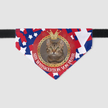 Patriotic Stars & Stripes Elegant Geometric Cat 