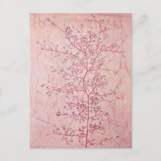 Paul Klee - Cartão Postal da Primavera Rosa no Inv