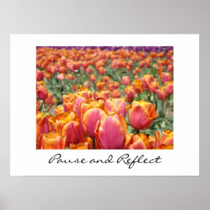 Pausar e Refletir impressões de arte Flor de Tulip