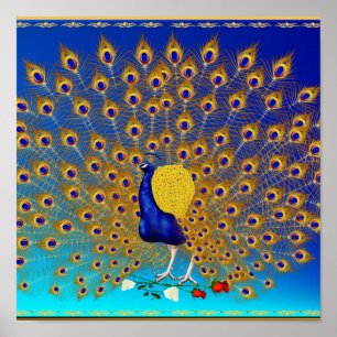 Pavão e poster largo dos rosas