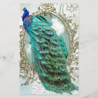 pavão-pavão-de-cabeça-branca