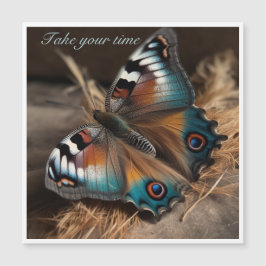 Pavão Zebra Borboleta Tome Seu Tempo