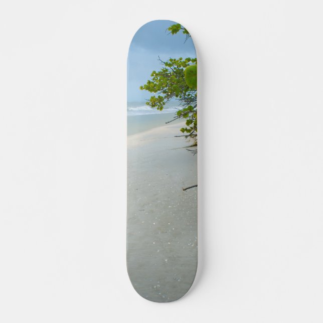 Paz e Silêncio em Sanibel SkateBoard (Frente)