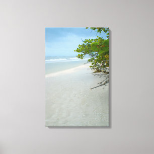Paz e Silêncio na Canvas da Ilha Sanibel