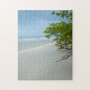Paz E Silêncio Na Quebra-cabeça Da Ilha Sanibel