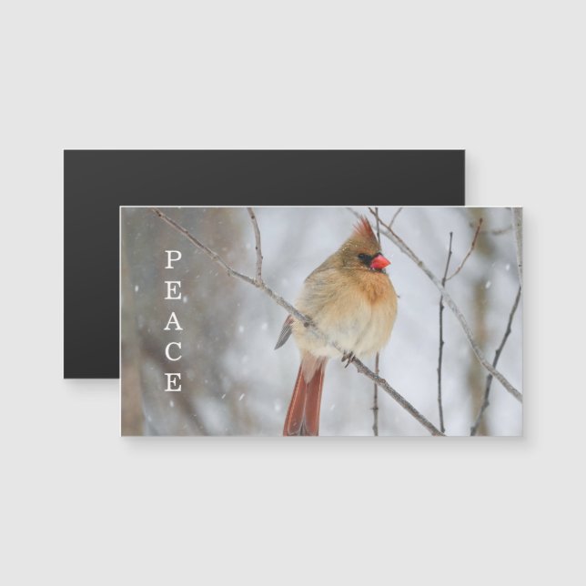 Peace Winter Cardinal Photo Magnet Card (Frente/Verso)