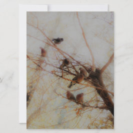 Peaceful Birds Flat Card