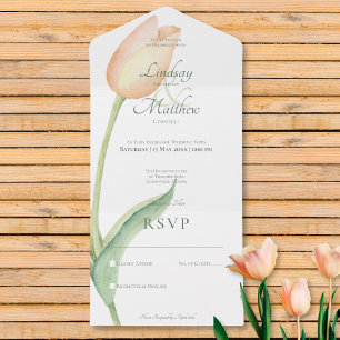 Peach Blush Tulip Solo Moderno Sem Janto