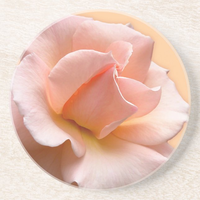 Peach Rosa Porta copos Wild Rosas Gifts Keepsaem D (Frente)