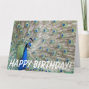 Peacock Bird Birthday - Grande Cartão