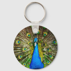 Peacock Chaveiro