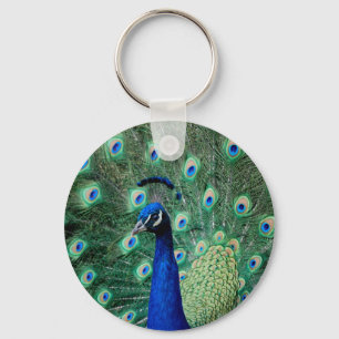 Peacock, chaveiro