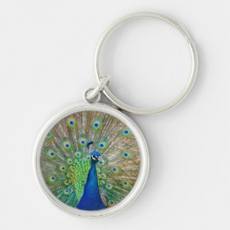 Peacock Chaveiro
