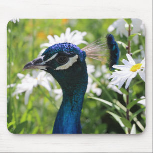 Peacock e Daisies Mouse Pad