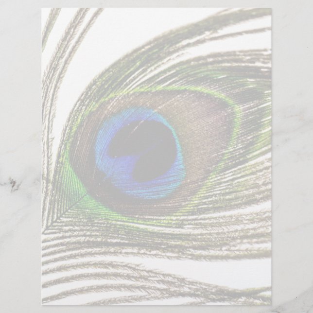 Peacock Feather (Frente)