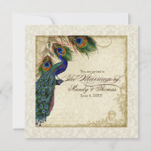 Peacock & Feather Formal Convite de casamento Crea