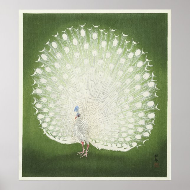Peacock por Ohara Koson Vintage Impressão Poster (Frente)