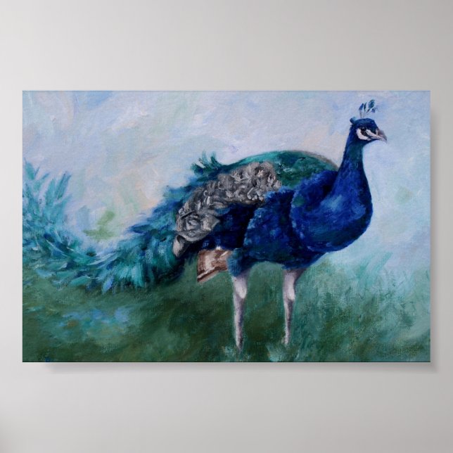 Peacock Poster (Frente)