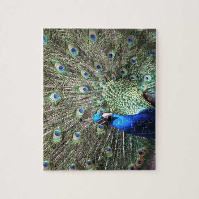 Peacock quebra-cabeça (Vertical)
