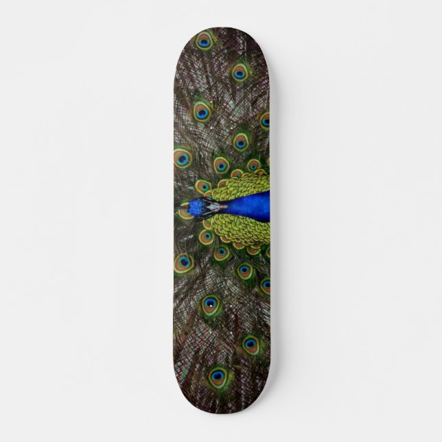 Peacock Skateboard (Frente)