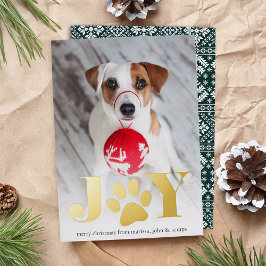 Peças Festivas | Pet Photo