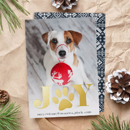 Peças Festivas | Pet Photo