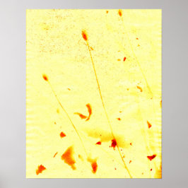 Pedaços de papoila e sementes secos por Poster