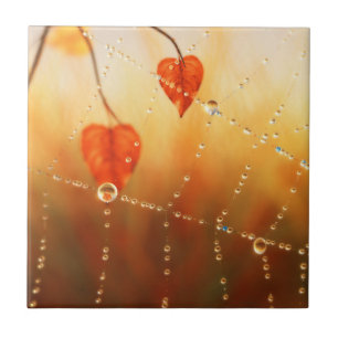 Pedaços de um Azulejo Decorativo da Manhã de outon