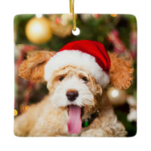 Pedra Enfeites de natal de Goldendoodle