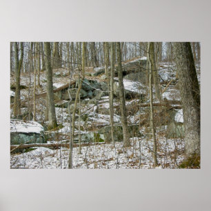 Pedras na Poster da Floresta de inverno