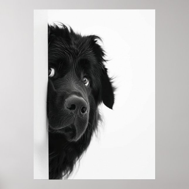 Peek-a-Boo Pup – Impressão de fotografia engraçada (Frente)