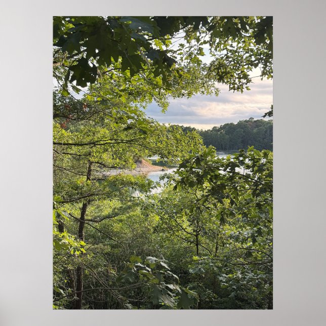 Peeking through the Trees Poster (Frente)