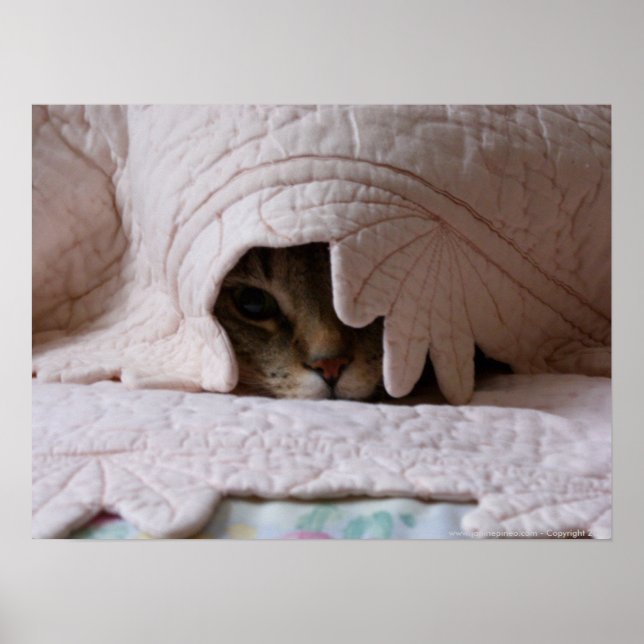 Peeking Tom poster (Frente)