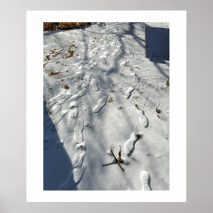 Pegadas na Poster de neve