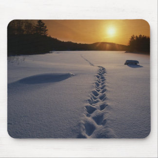 Pegadas no mousepad da neve