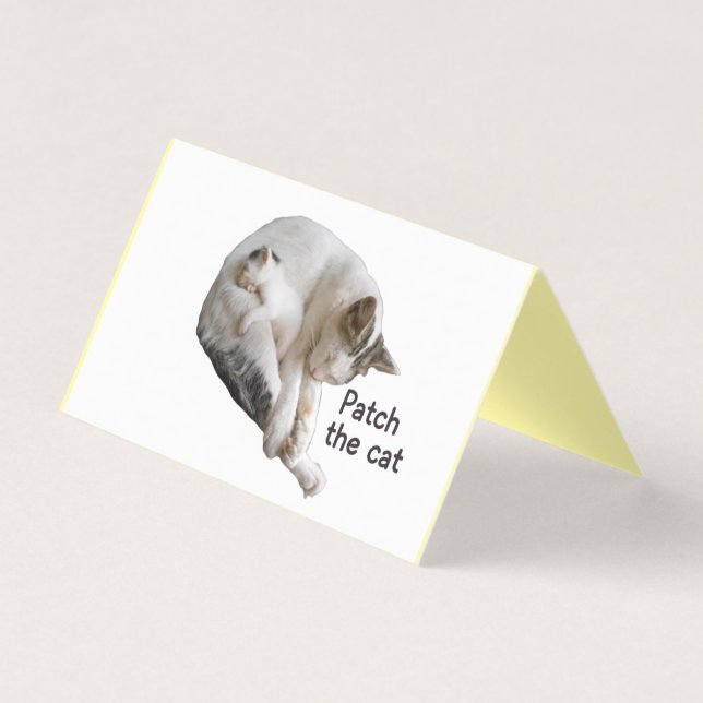 PEGUE O GATO E O COLO DELA (Frente)